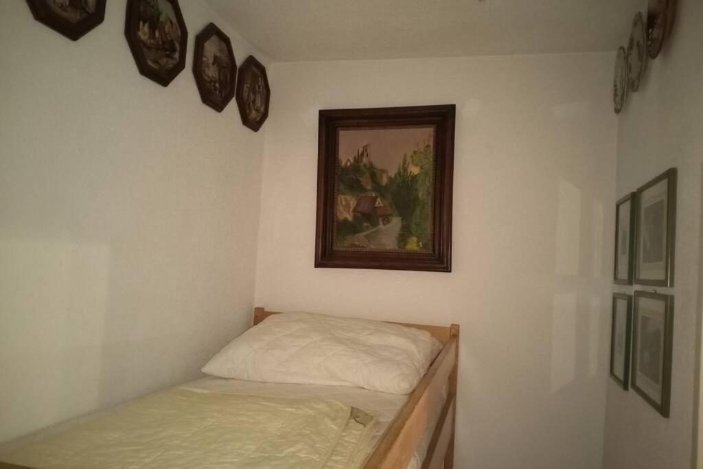 Seewohnung Ossiachersee Atemberaubendes Panorama فيلاخ المظهر الخارجي الصورة